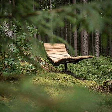 Forstgut - Premium Waldchalets Und Lodge Suiten Regen Εξωτερικό φωτογραφία