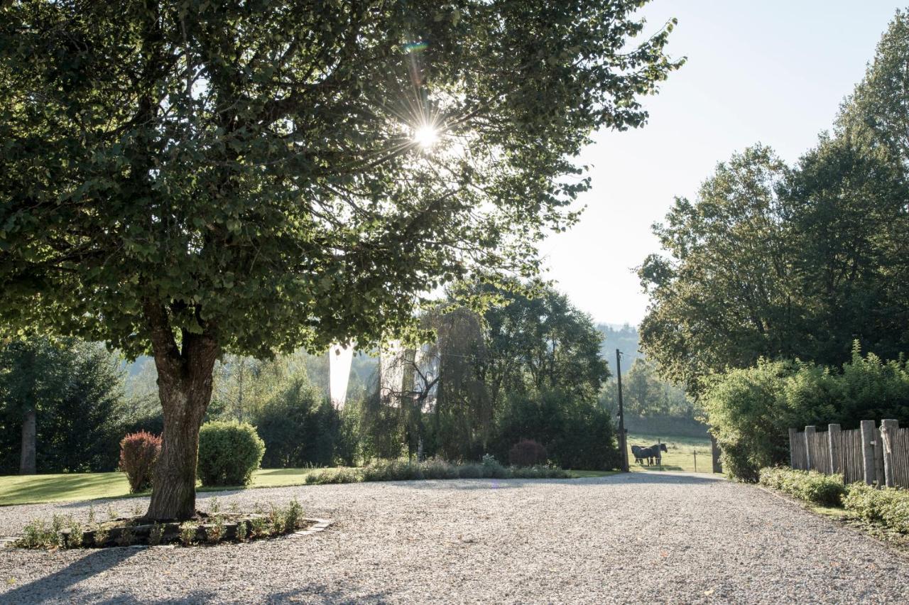 Forstgut - Premium Waldchalets Und Lodge Suiten Regen Εξωτερικό φωτογραφία